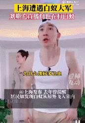 上海白蚁最新通报,最新上海遇白蚁事件