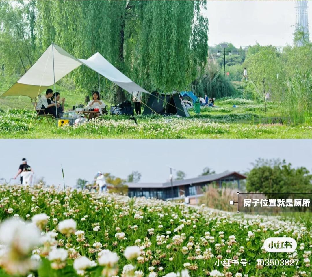 成都周边一日游露营烧烤好去处,成都周边春天适合野炊露营的地方