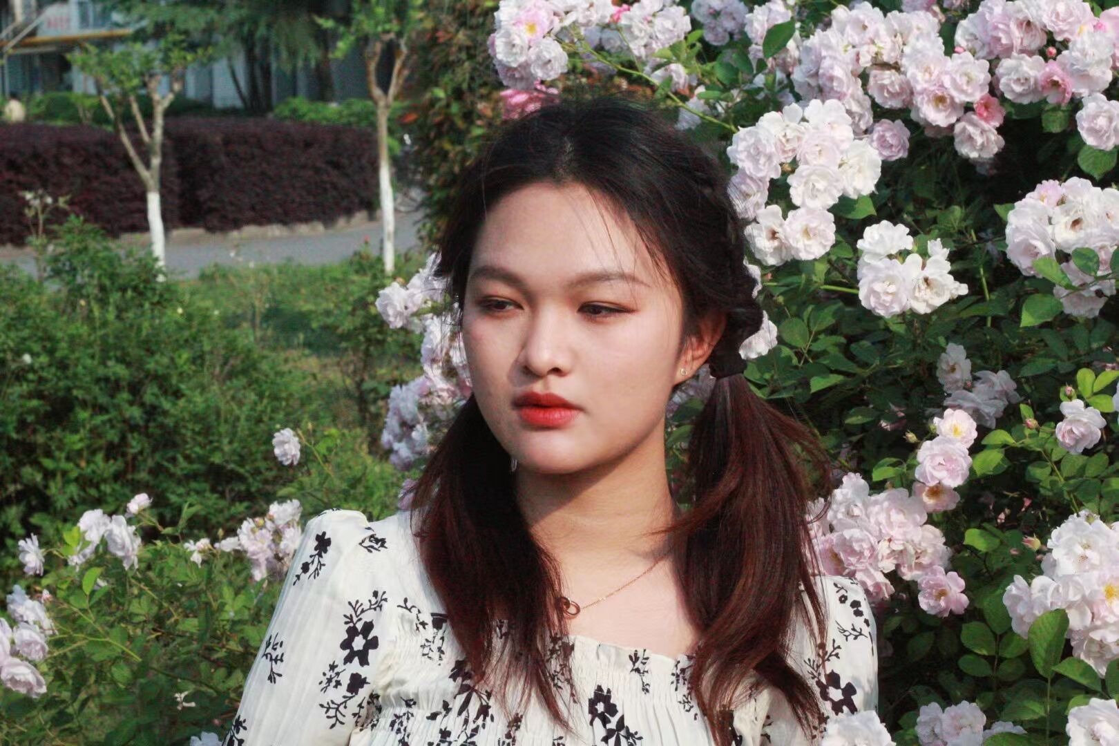 SEU筑梦黔行|团队介绍