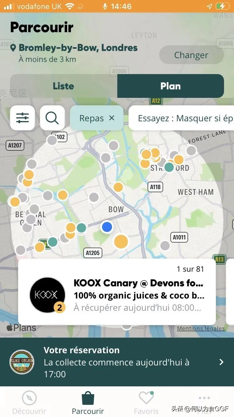 我在法国捡海鲜,我在欧洲捡垃圾