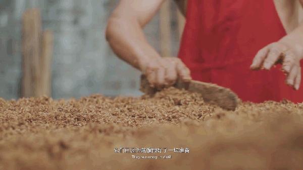 沱牌酒国庆,沱牌酒过年视频