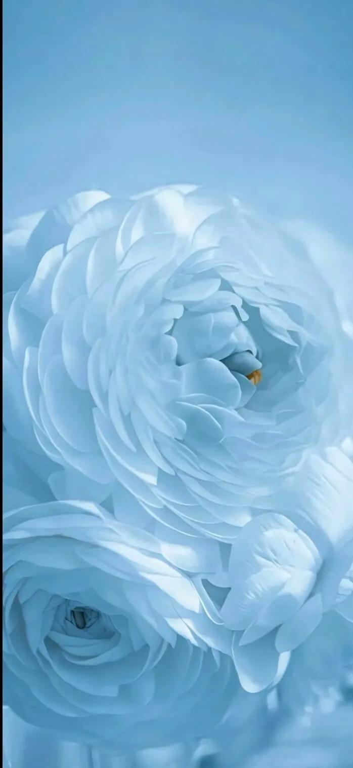 上班励志高清壁纸4k全屏电脑壁纸,黑鲨壁纸动态壁纸高清全屏90帧