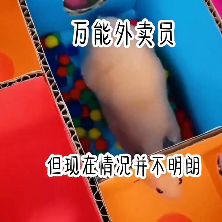 点赞评论关注精彩不断,关注点赞每日分享热门小说