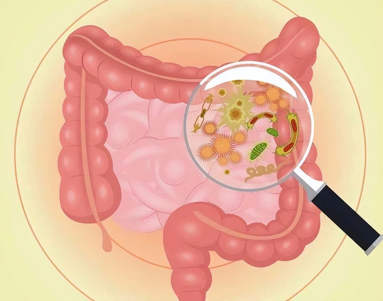 上厕所大便前硬后稀怎么回事,上厕所大便干硬怎么回事