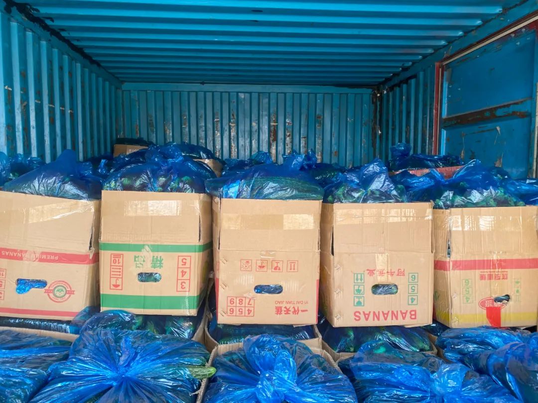 00后小伙辞职创业卖农产品,辞职回老家创业卖土特产