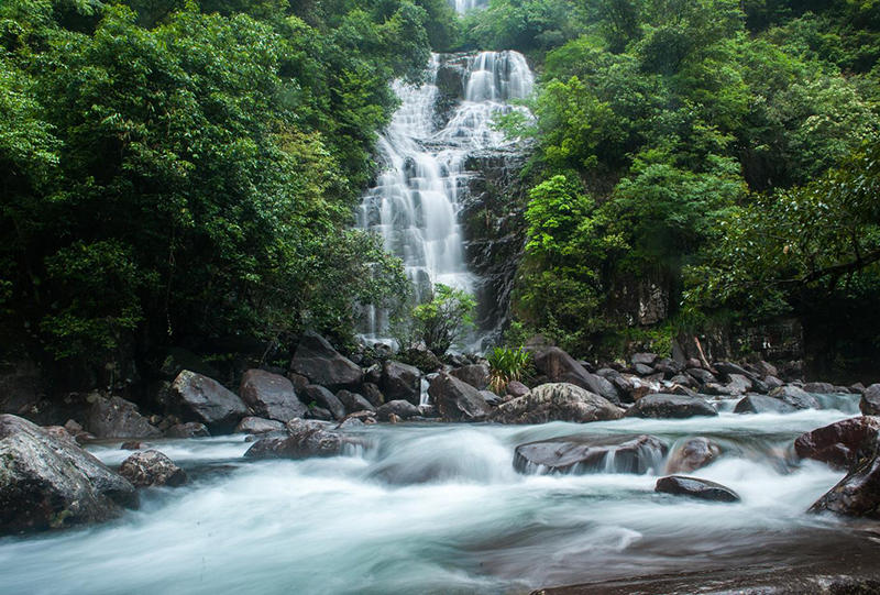 “风景独好”旅游名县｜资溪县：面包之乡·纯净资溪