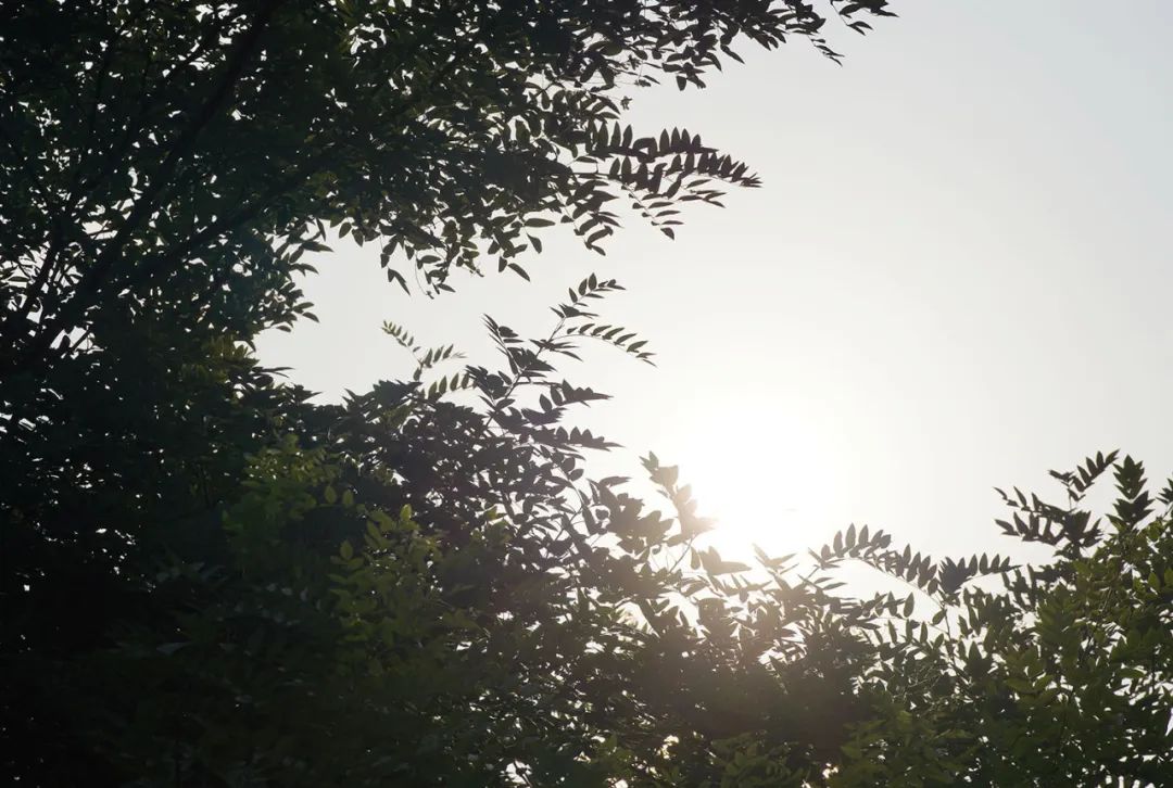 微单小三元镜头,索尼长焦镜头70-200f4机身按键作用