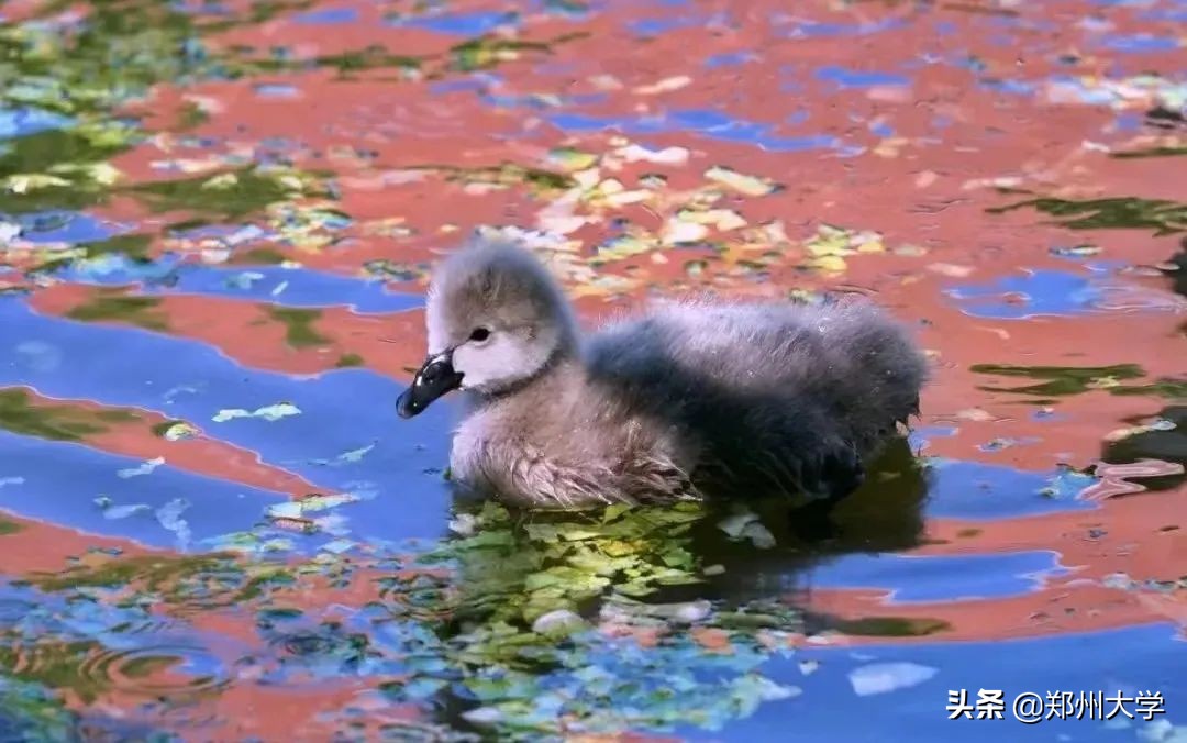 选择大学看哪些因素,选择大学优势专业的好处
