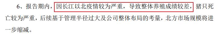 正邦第一季度亏损,正邦净利润90亿