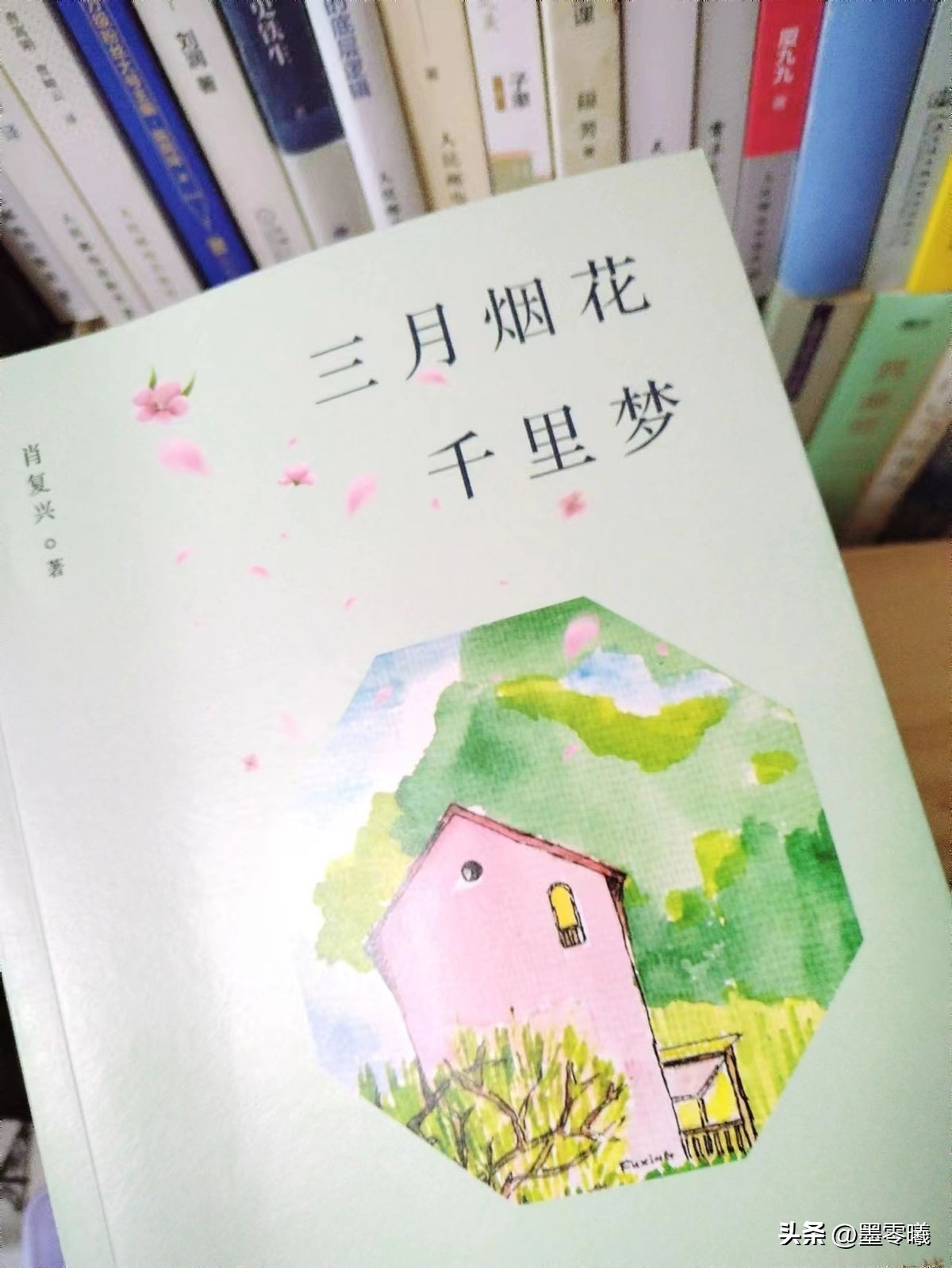 一朵花的盛开需要经历四季的流转,一朵花绽放整个春天