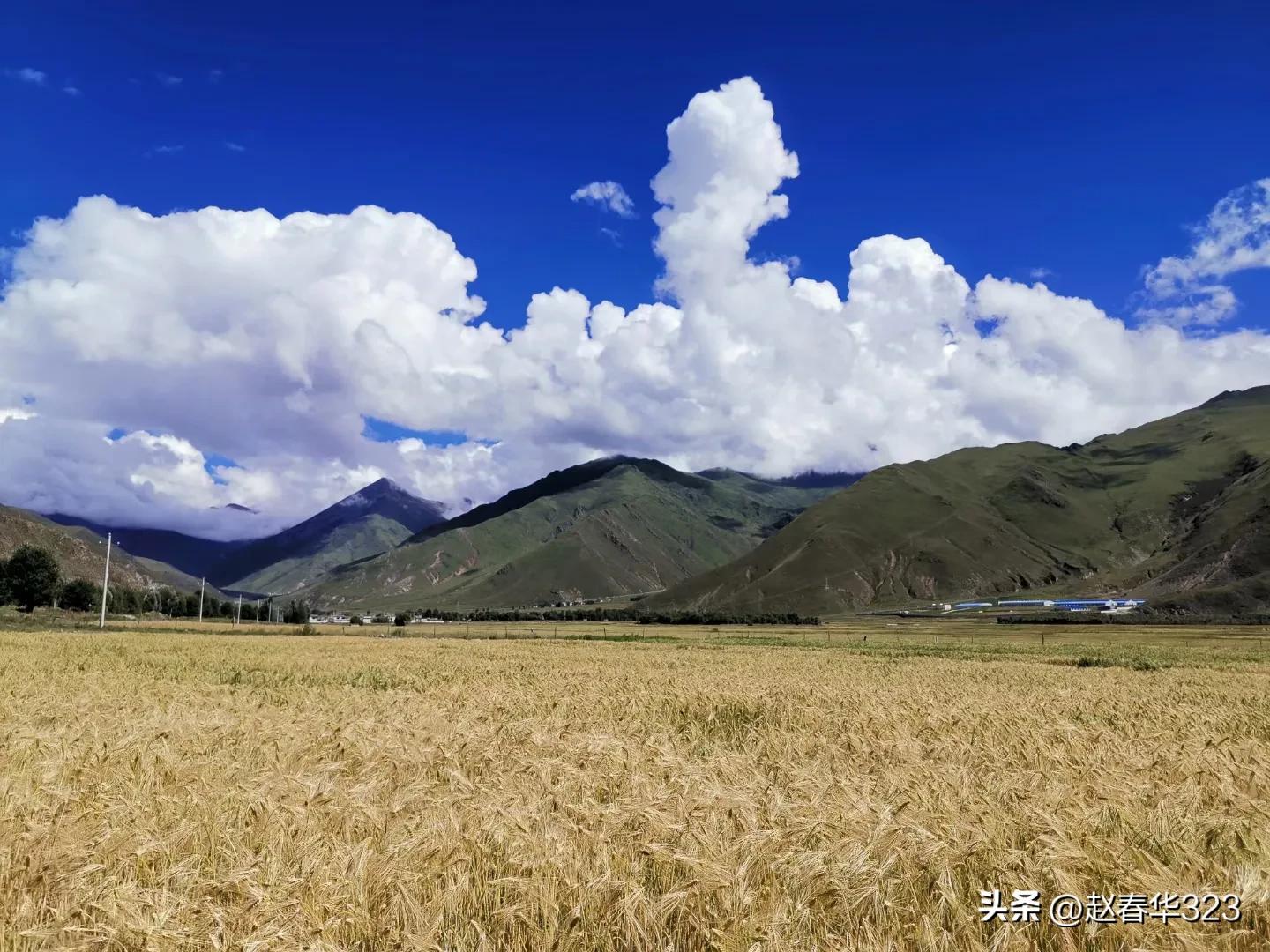 头条日记第11天，抖音主页装修完成