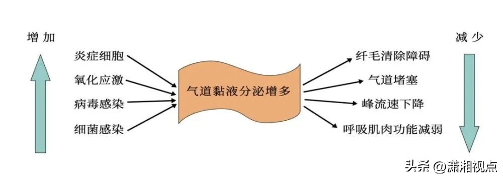 防疫科普酒精可以杀毒但不要喷洒,痰能吞下去吗有什么危害