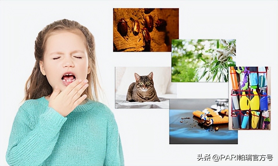 成人哮喘雾化器推荐,过敏性哮喘做雾化用多大的雾化器