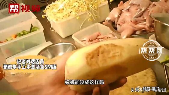 被老鼠咬过的土豆还可以吃吗,被老鼠咬过的土豆怎么处理