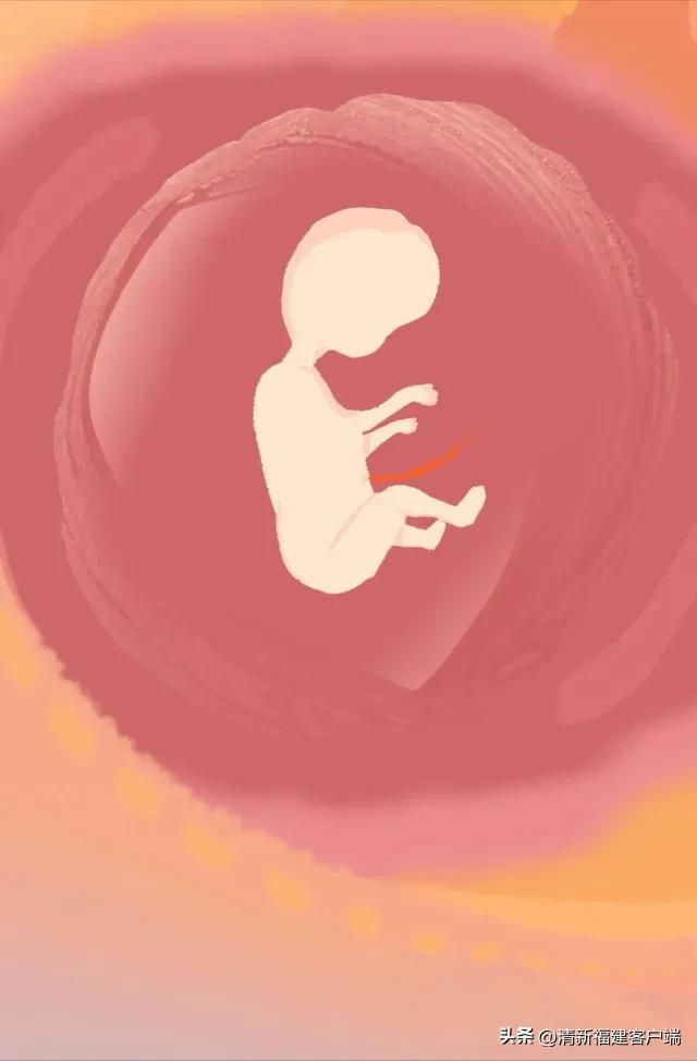 漫画专题丨这就是精子进入女性体内的全过程,太神奇了