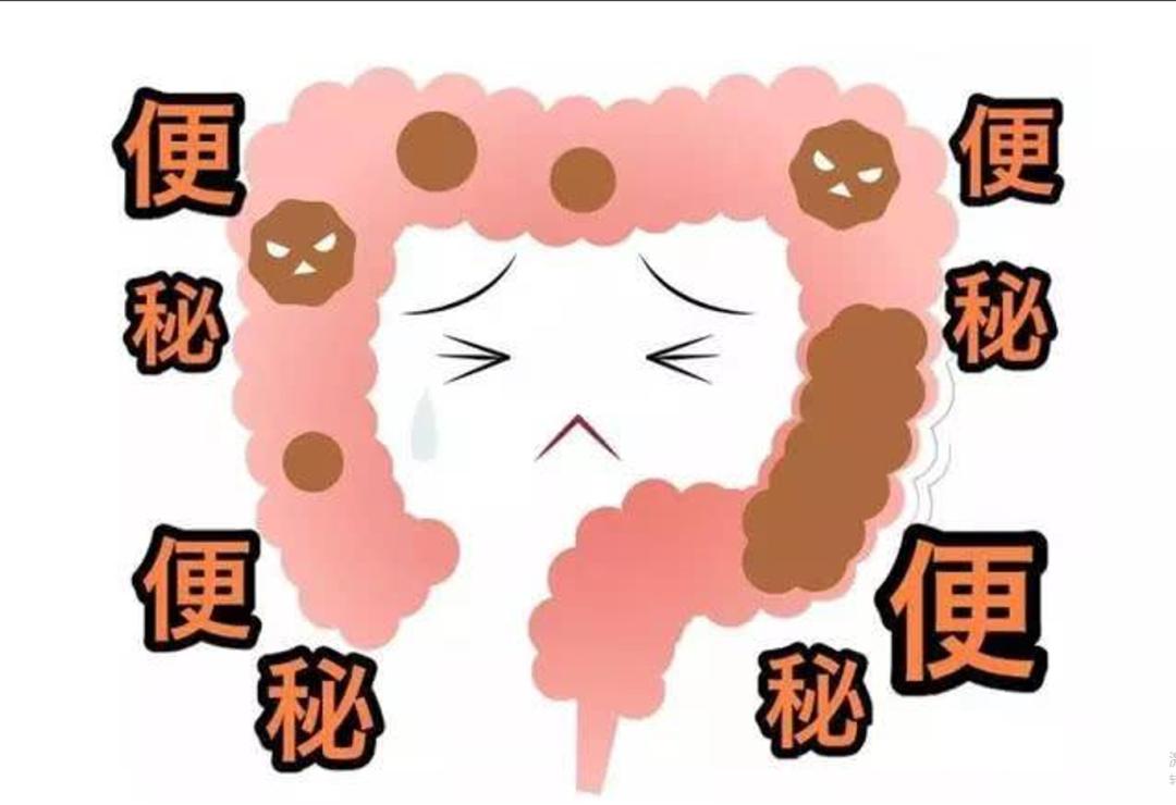 老年人功能性便秘原因,功能性便秘吃什么中药