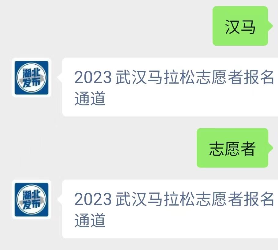 武汉马拉松2024志愿者报名入口,武汉马拉松志愿者招募条件