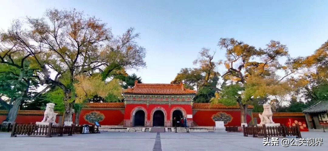 沈阳市新地标,沈阳新地标