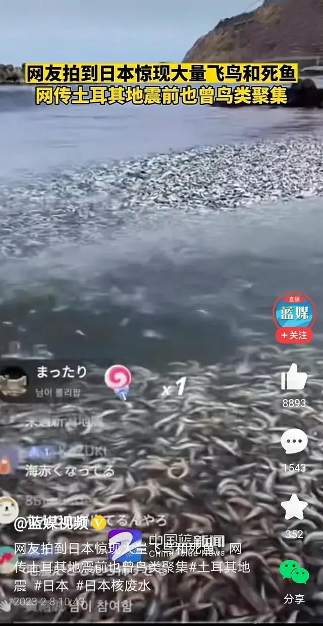 预测日本发生强震,日本发生强震波及地区