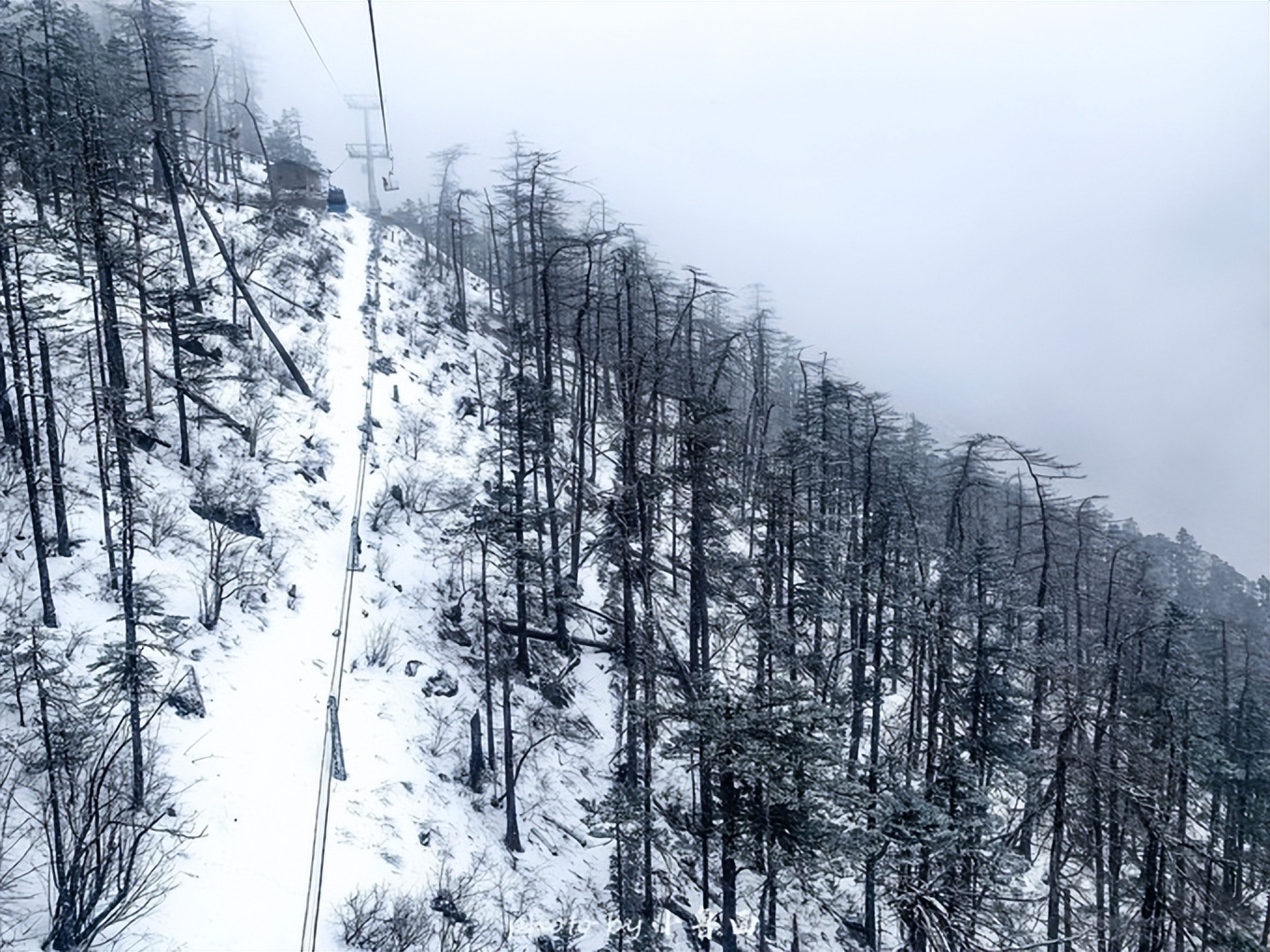 玩转云南自由行,昆明大理丽江6天5晚游多少钱