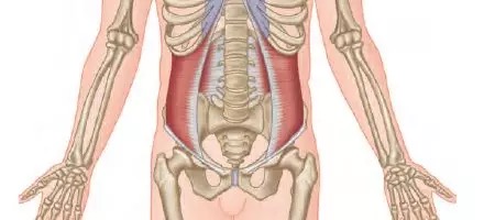 女性练核心肌群的徒手动作,最能锻炼到核心肌群的动作