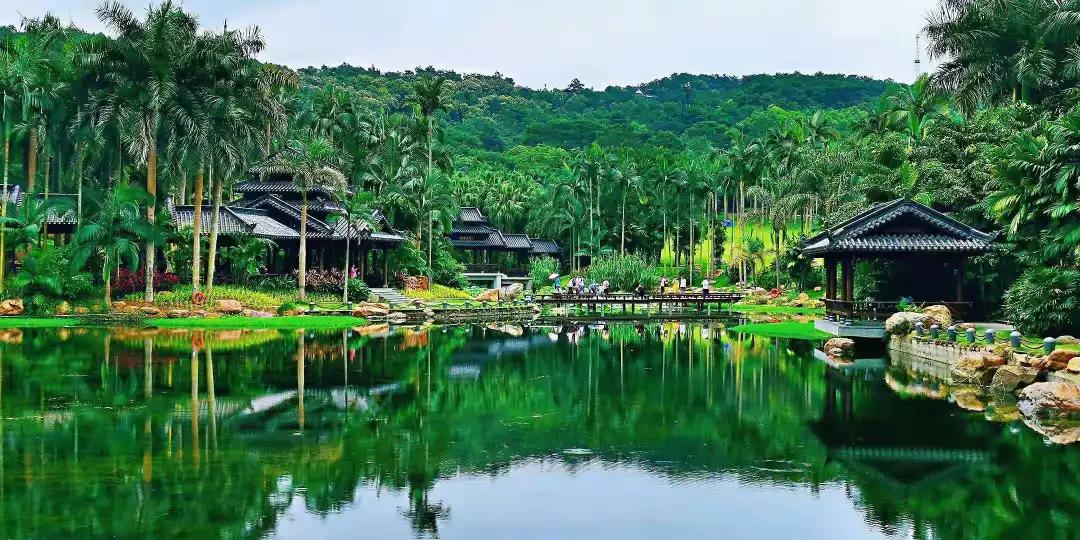 广西德天瀑布回广州沿途景区,德天跨国大瀑布风景区和古龙山