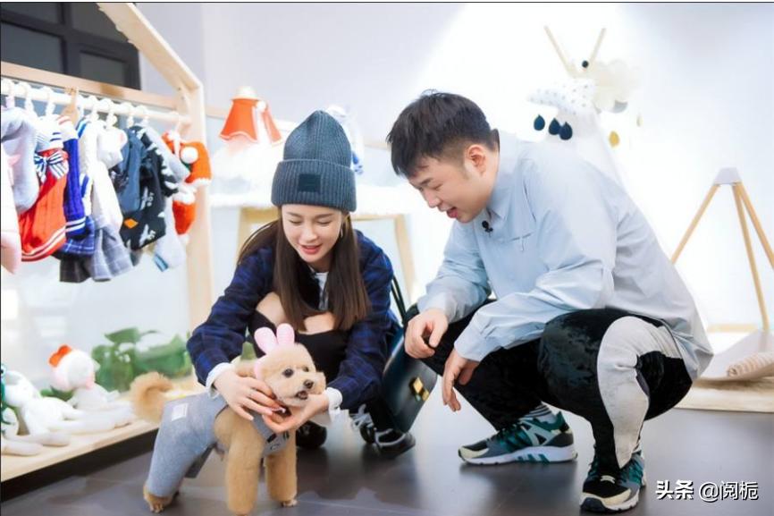 海涛和沈梦辰十年,恋爱8年没结婚的后果