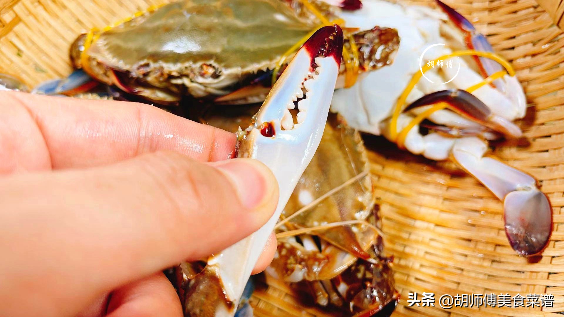 买螃蟹千万不要买什么,如何挑螃蟹有膏又肥