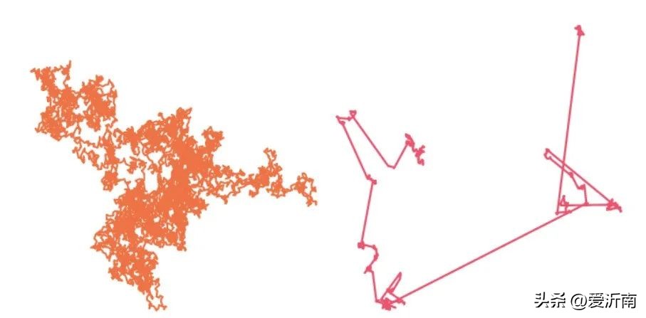 为什么你总打不到苍蝇？因为它们数学“学得”比你好