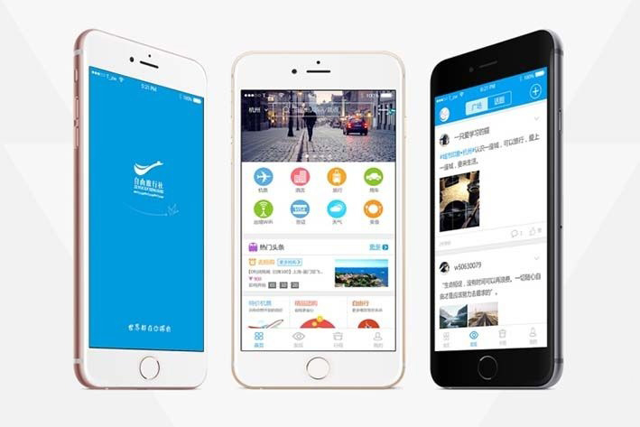 石家庄电商app开发 (石家庄电商小程序设计方案)