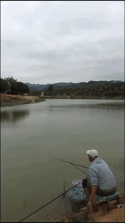 骑马挎枪黑坑竿,骑马挎枪钓鲫鱼