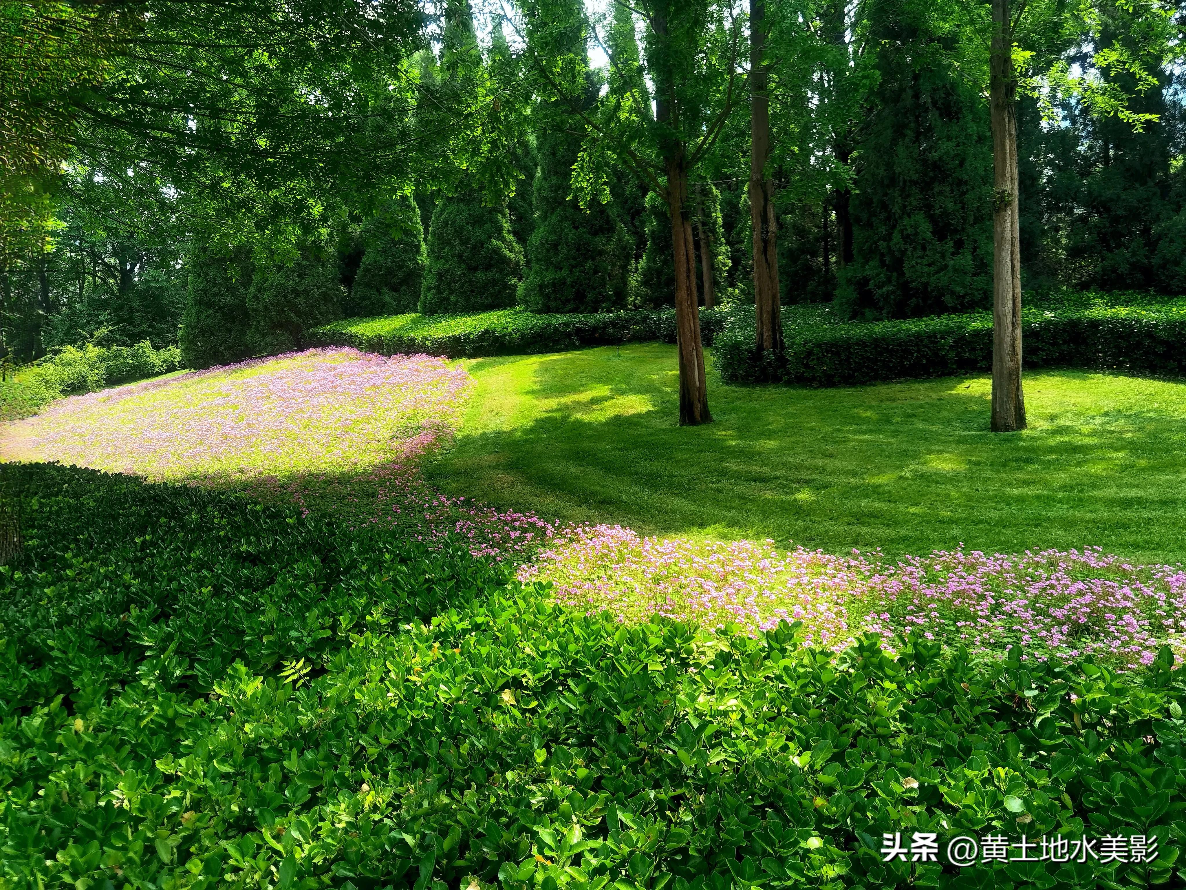 郑州儿童节周边游,郑州室外适宜小朋友游玩的景点