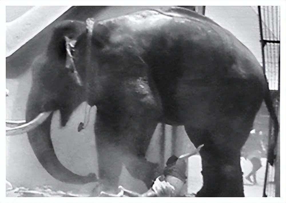 唯一被绞刑的人,唯一被凌迟处死的人