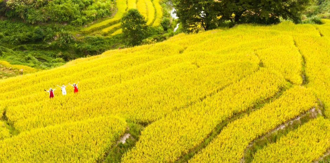 韶关秋天哪里有美景,韶关秋天美景