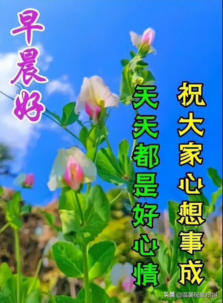 2018微信早安最美的动态表情大全,微信最漂亮早上好表情图片带鲜花