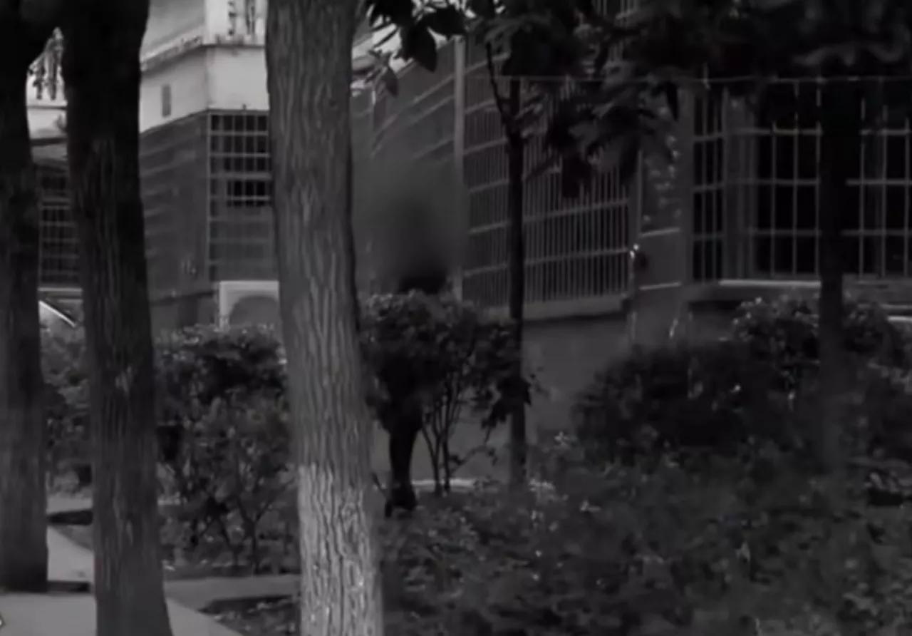 女孩六年前偷偷生下富二代孩子,年轻女孩为富二代男友生下儿子