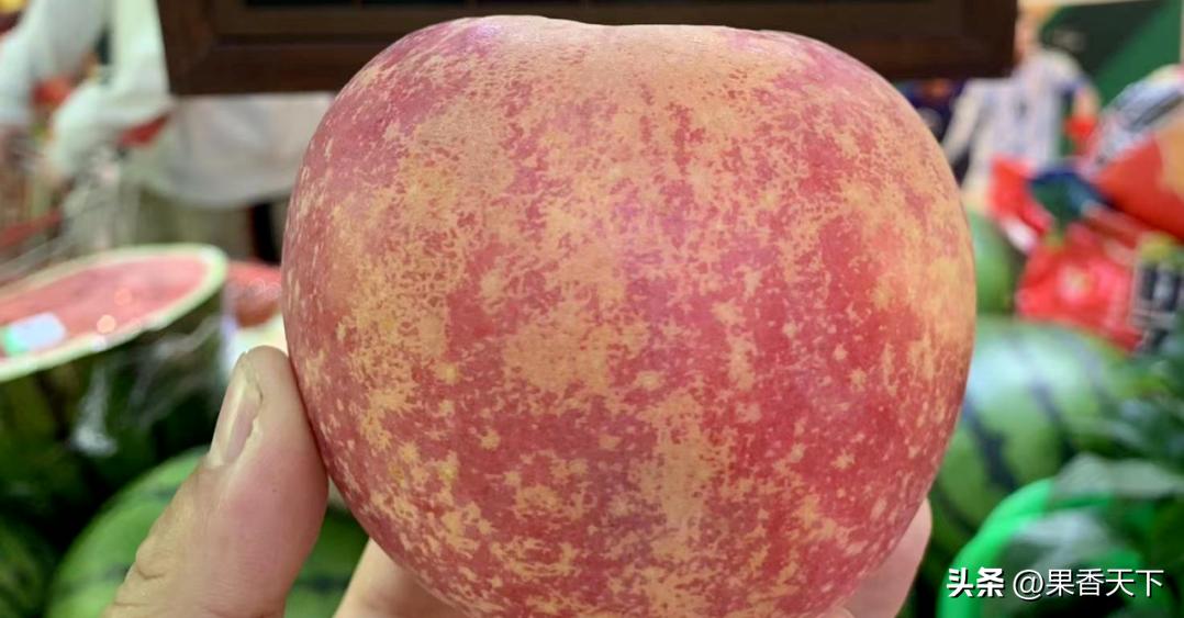 苹果现在怎么那么贵一斤,苹果15以后能卖多少钱