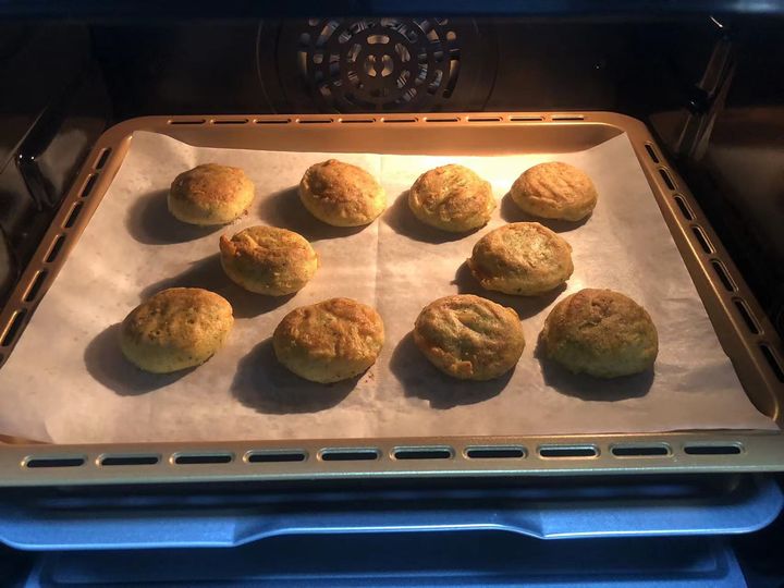 长帝s1烤箱的蒸汽功能怎么样,长帝风炉电烤箱测评