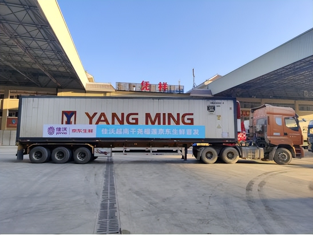 越南进口榴莲专柜现场,越南榴莲一手货源