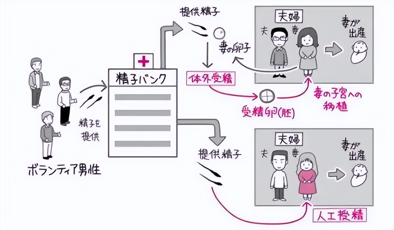 日本最强“配种王”一年捐精百次：日本为了“小蝌蚪”有多疯狂？