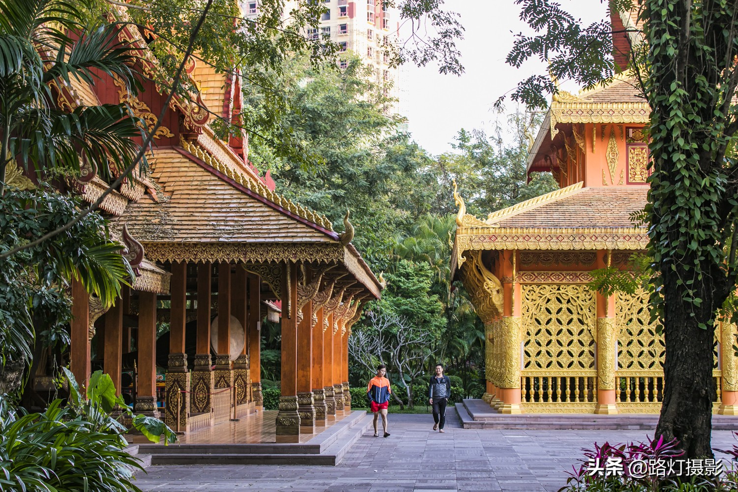 中国适合冬季避寒的地方,这才是国内避寒的七座安逸城市