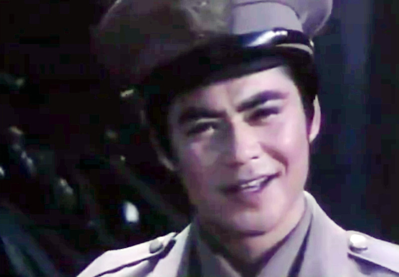 花开半夏实力派演员有哪些人,风吹半夏演员今昔对比盘点