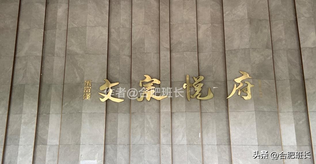 乐富强文宸悦府值得买吗,高新区乐富强文宸悦府怎样