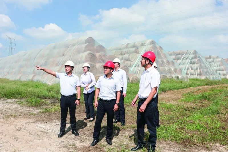 江苏银行金融普惠,银行服务乡村振兴取得的效果