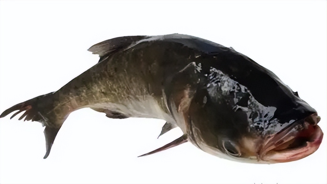 骞胯タ娌虫睜鍦扮悊鏍囧織鍐滀骇鍝佹湁鍝簺,娌虫睜鍐滀骇鍝佷寒鐩稿箍瑗垮啘浜や細