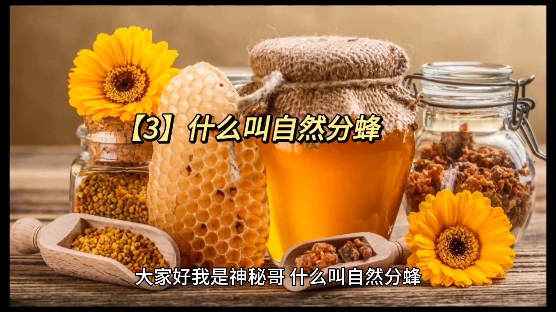 蜜蜂养殖技术什么是分蜂热,蜜蜂养殖技术分蜂后的管理