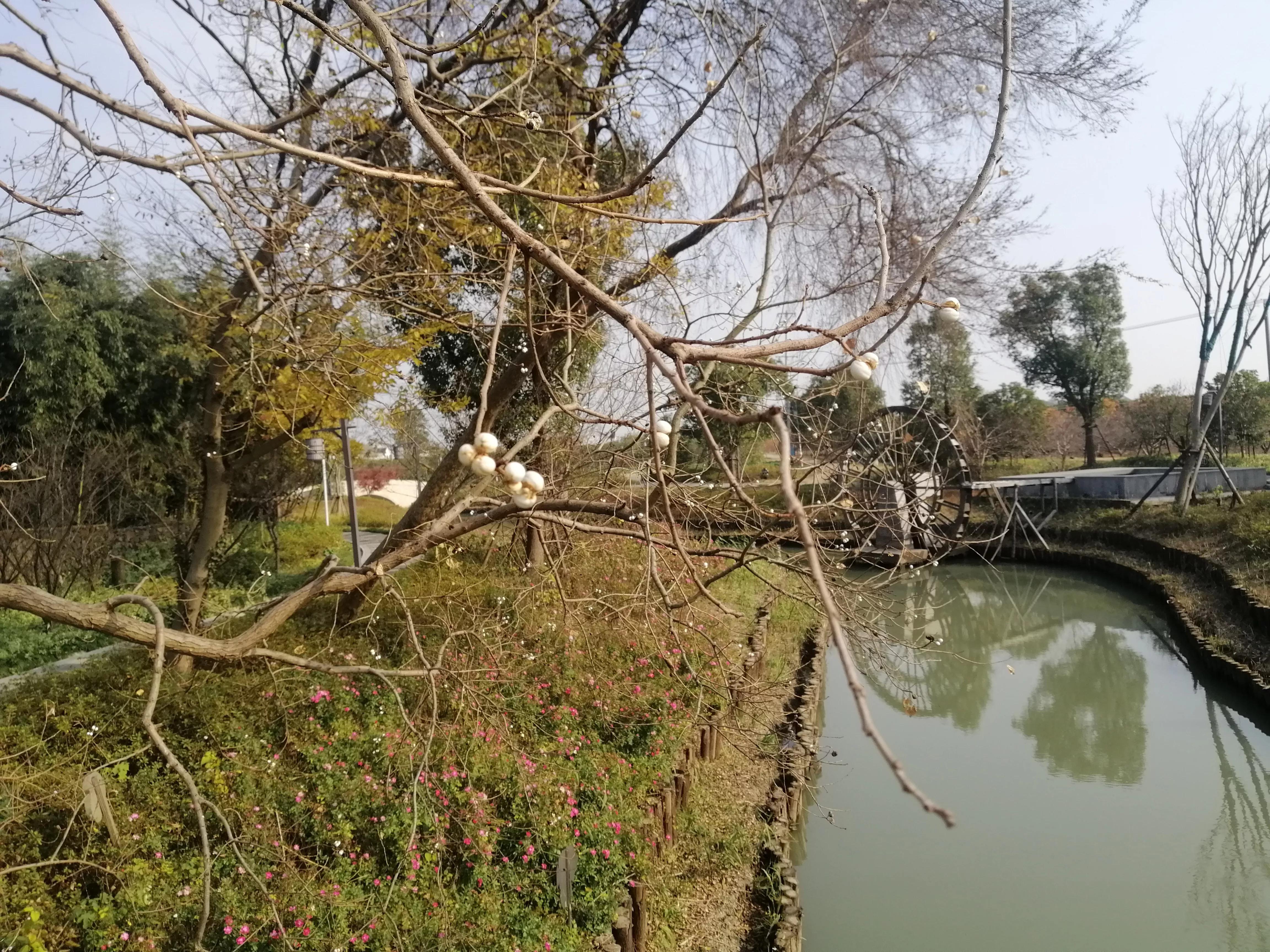 北湖共享农庄,澄湖农庄农家乐