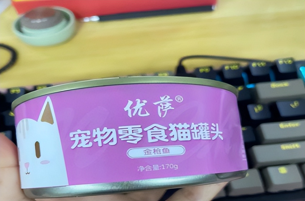 猫主子心思太难猜,猫咪的尾巴到底有多敏感