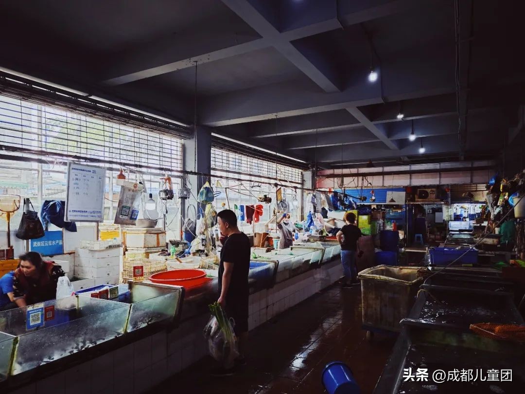 成都最值得逛的菜市场,成都必去的菜市场