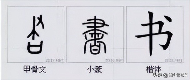 水平极高的演讲太精彩了,十大顶级经典演讲完整版